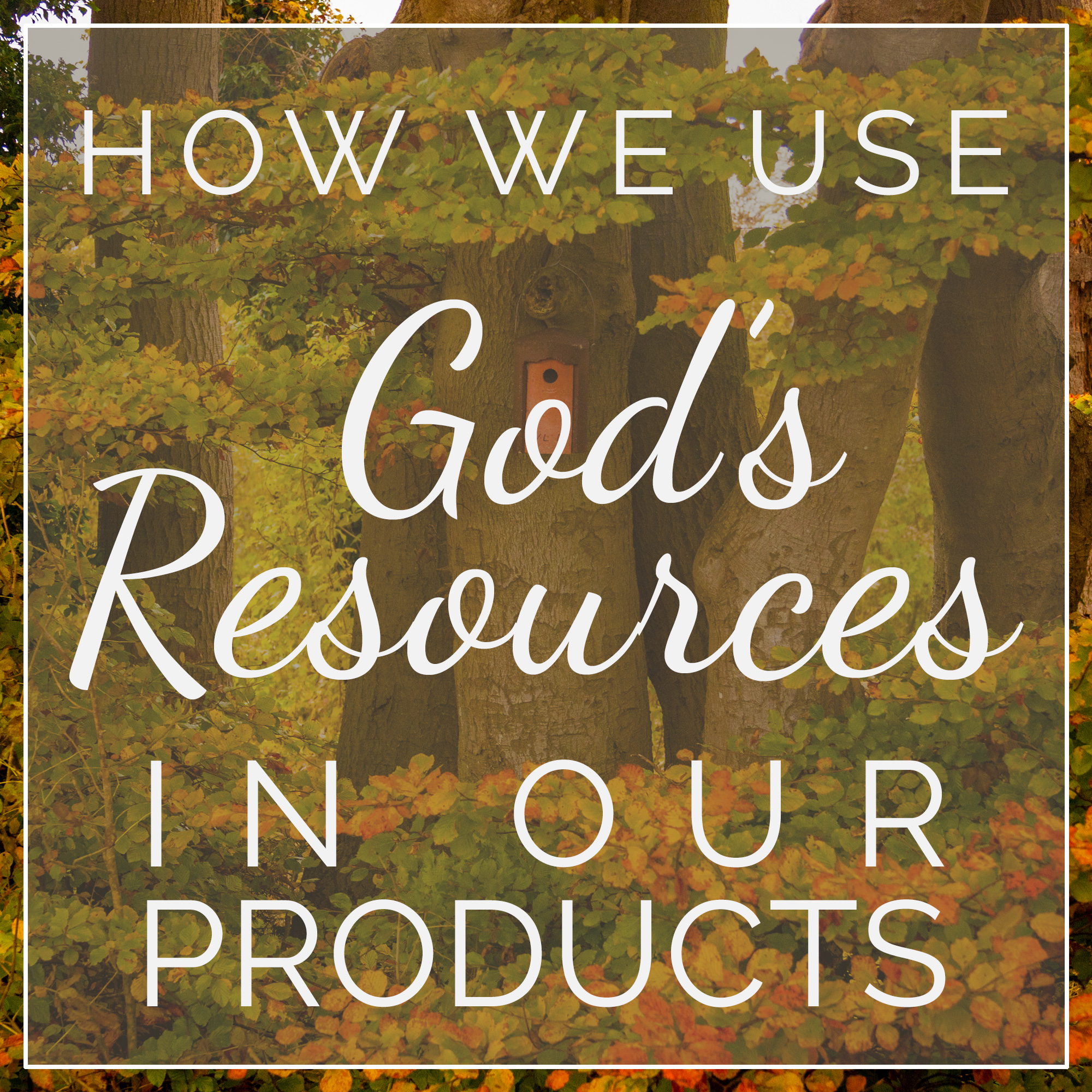 gods-creation-blog-030117