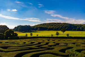 Bright blue skies with vibrant green hedge maze.