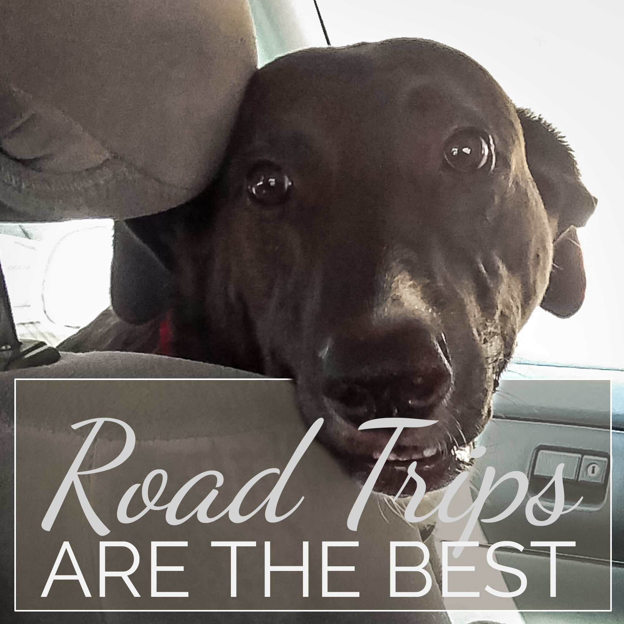 Road Trips Are the Best