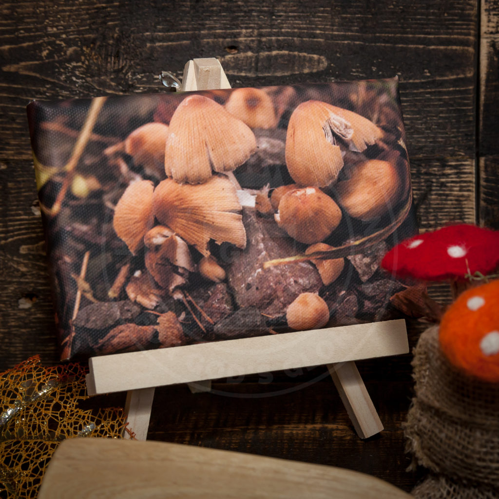 Canvas Photography Print