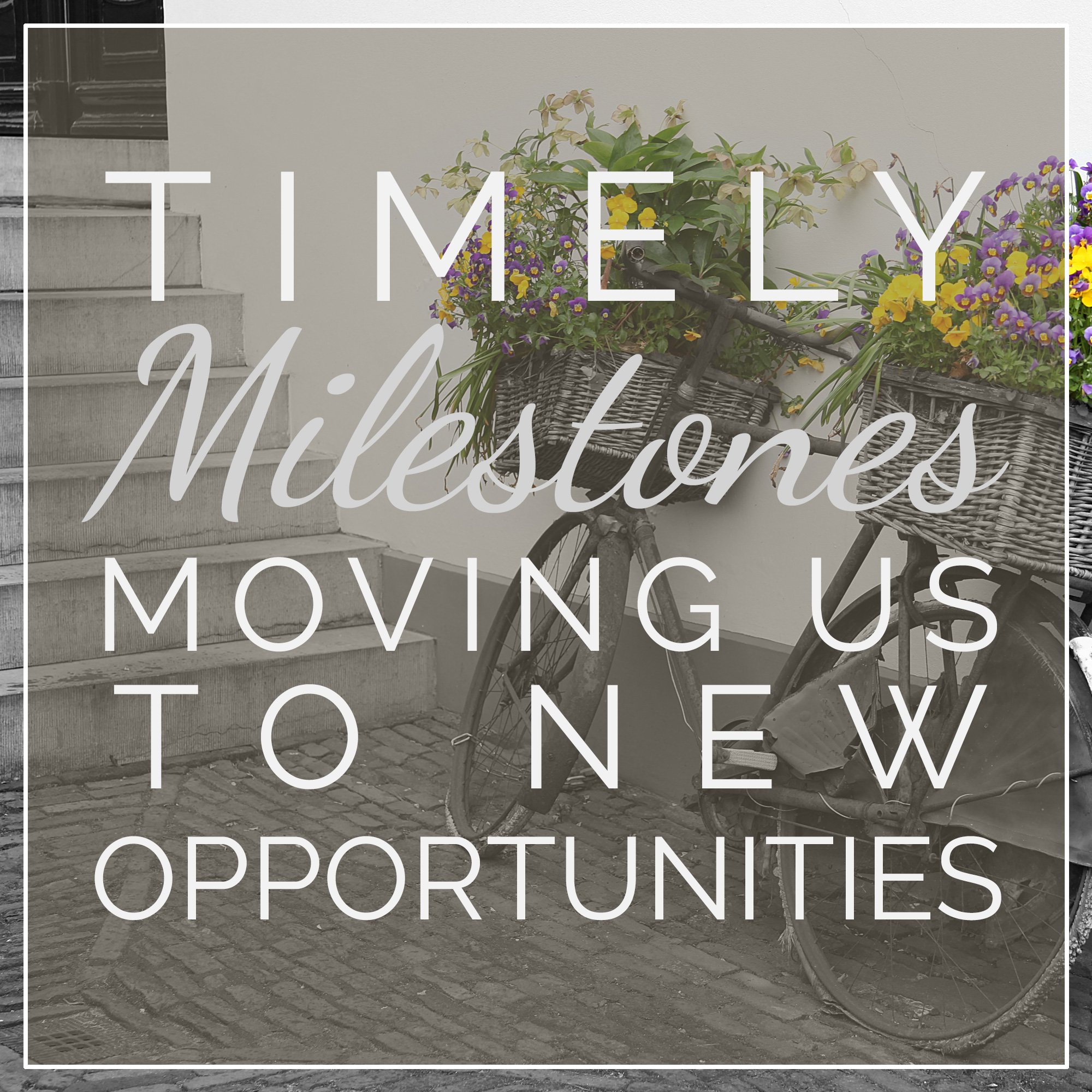 Timely Milestones Moving Us to New Opportunities