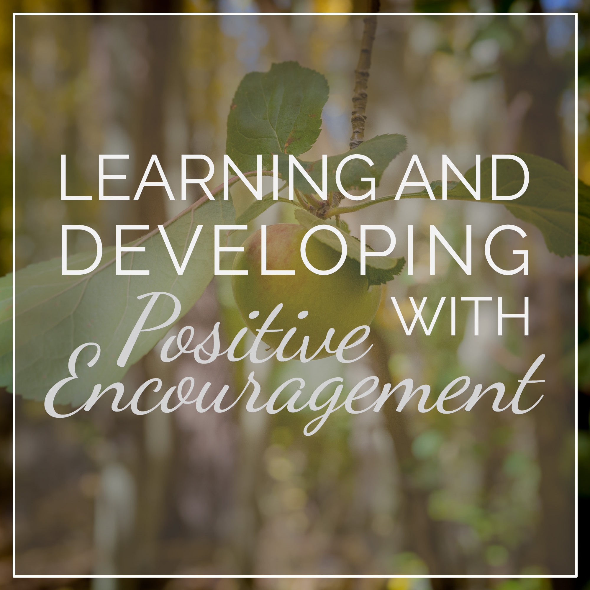 Learning and Developing with Positive Encouragement