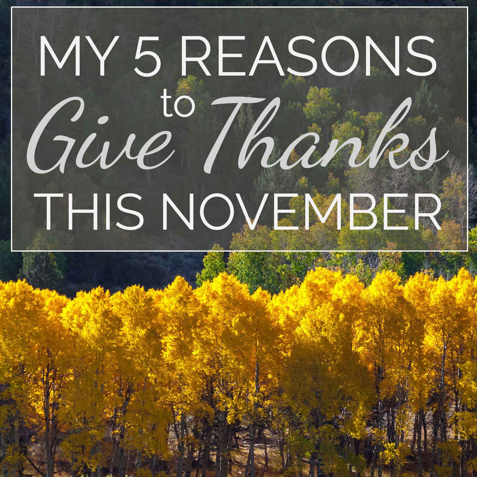 My 5 Reasons to Give Thanks this November
