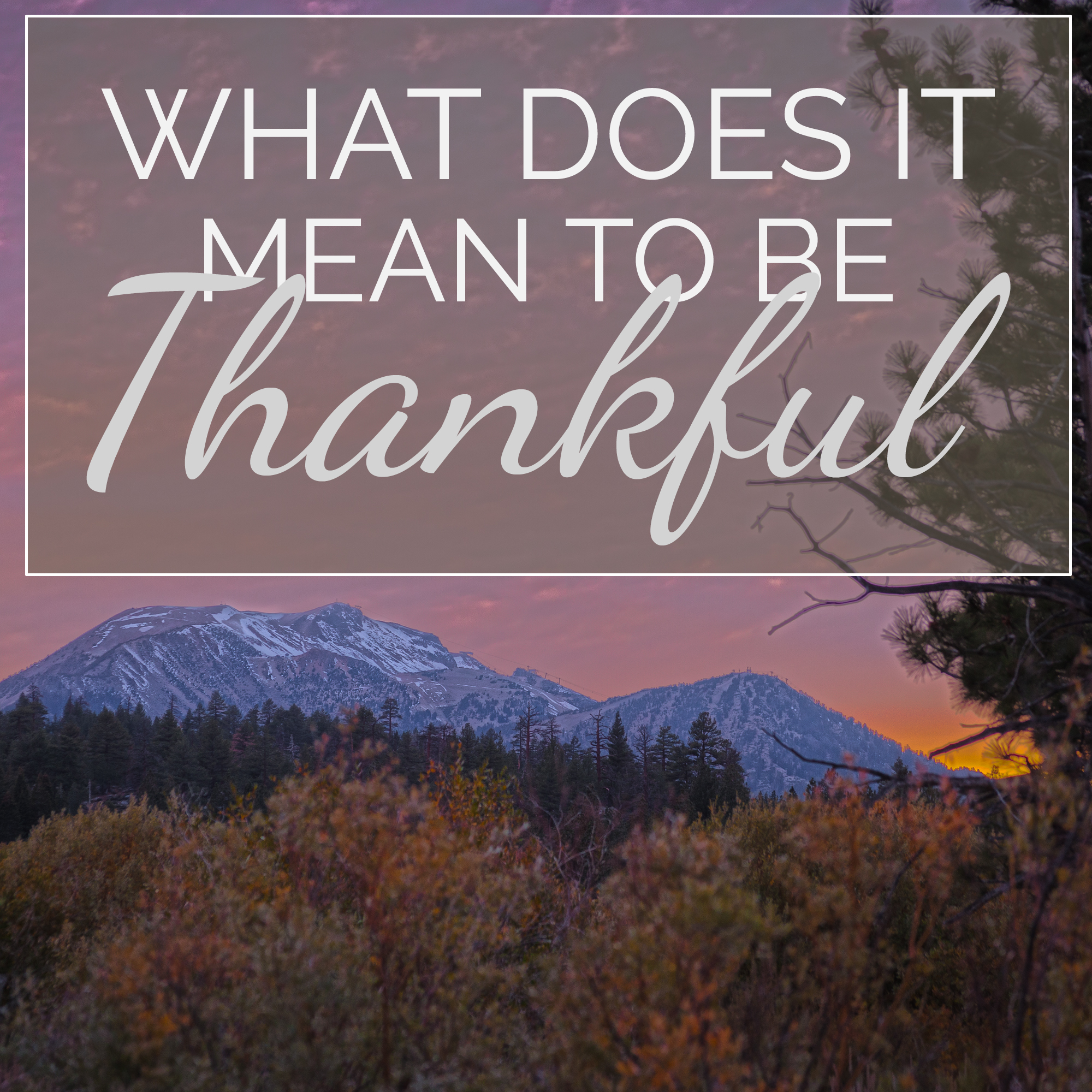 What Does it Mean to be Thankful