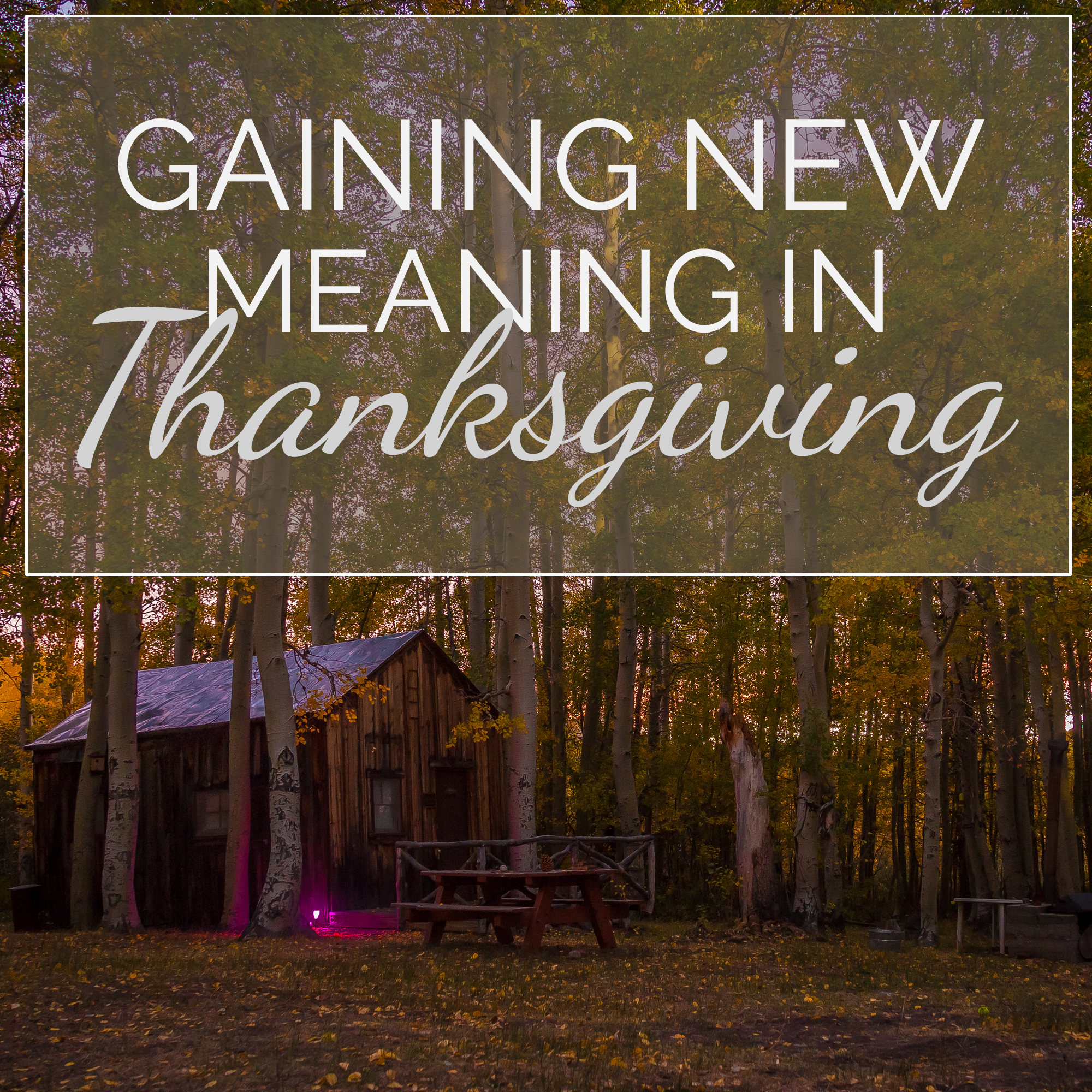 Gaining New Meaning in Thanksgiving