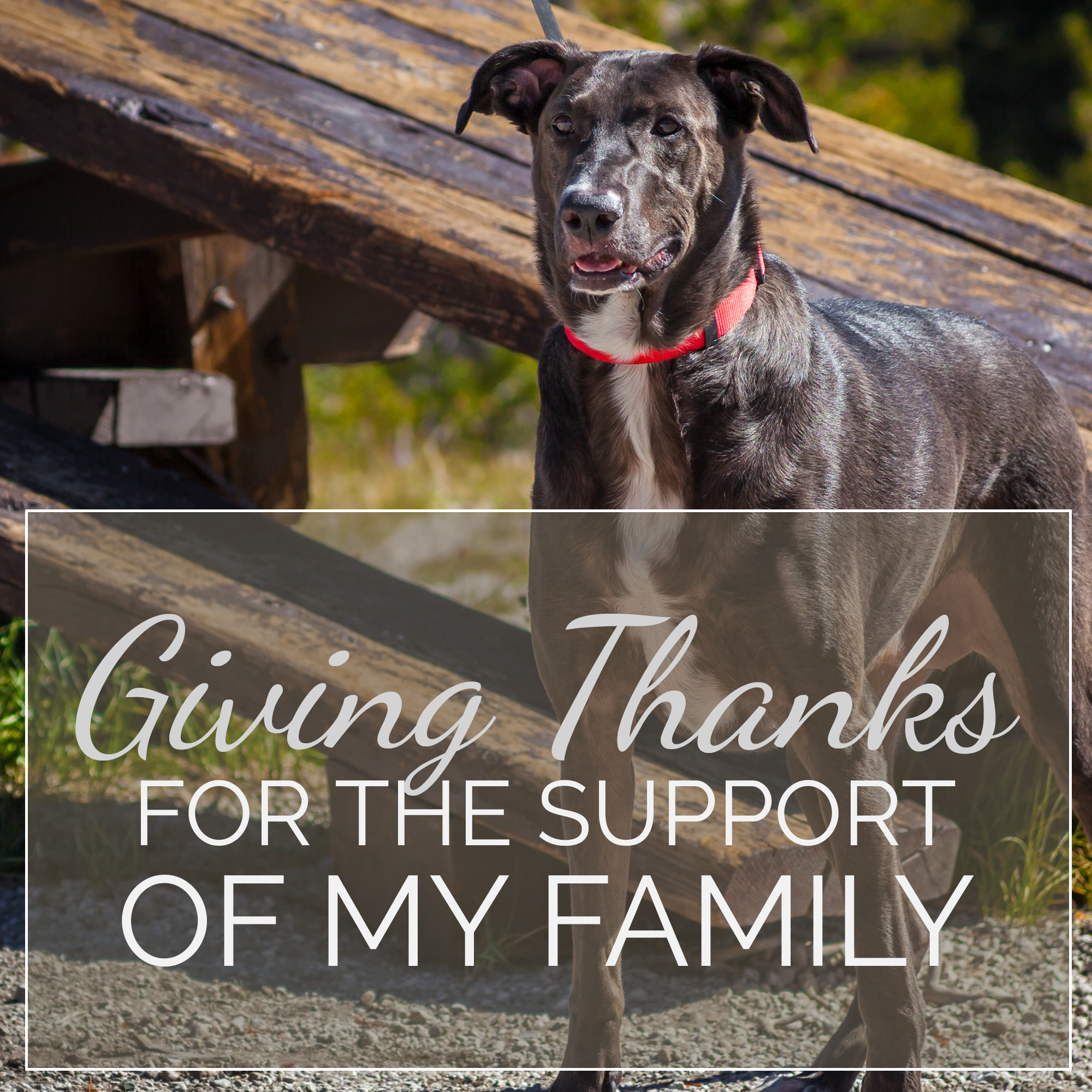 Giving Thanks for the Support of My Family