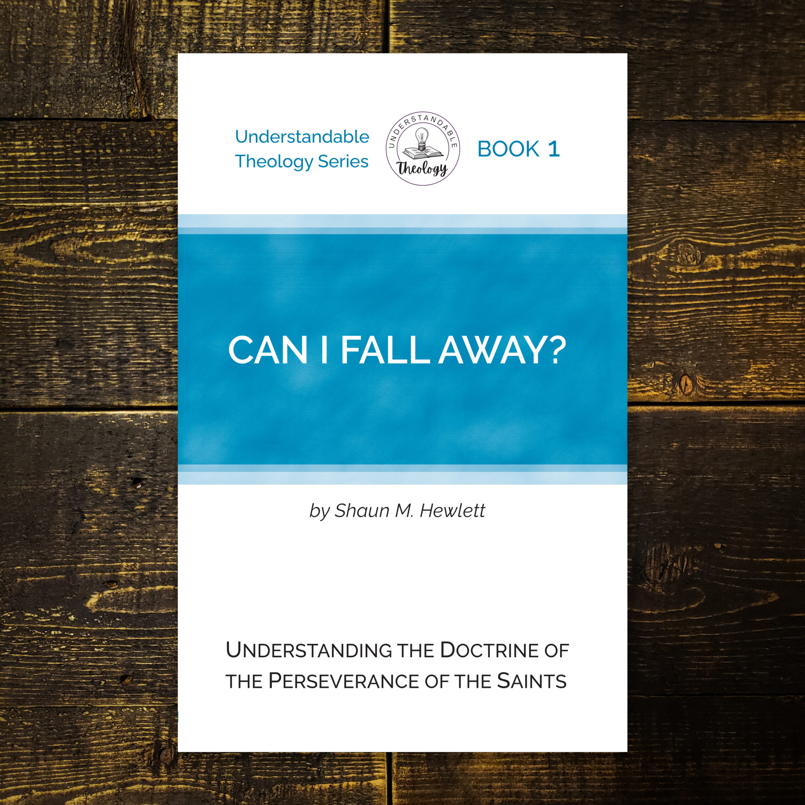 Can I Fall Away book cover