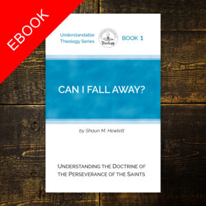 Can I Fall Away book cover